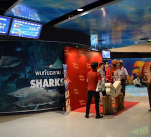Siam Ocean World