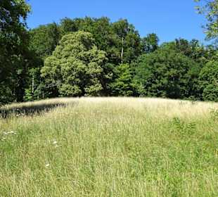 Spaziergang durch den Hofgarten Coburg