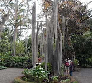 Botanischer Garten 