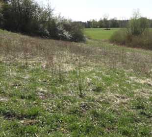 Sport- und Freizeitpark Markwasen