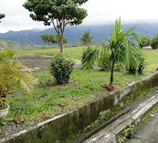 Ausflug Wildfife Expeditions- Rastplatz