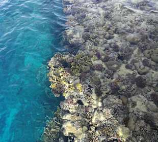 Schnorcheln Marsa Alam