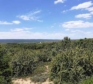 Addo Elephant Park