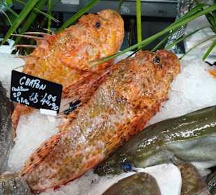 Auslage der Poissonnerie Ty´Breizh