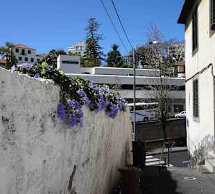 Inselrundfahrt Madeira