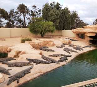 Zoo Djerba Explore Parc