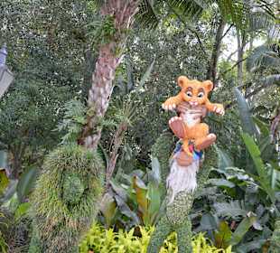 Flower and Garden Festival