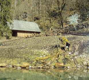 Tierfutterstation beim Königssee