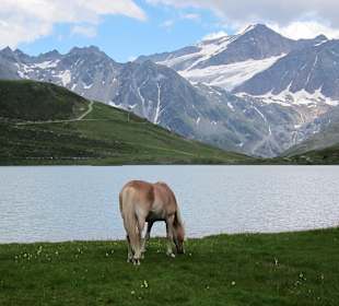 Rifflsee