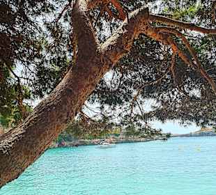 Strand Porto Cristo