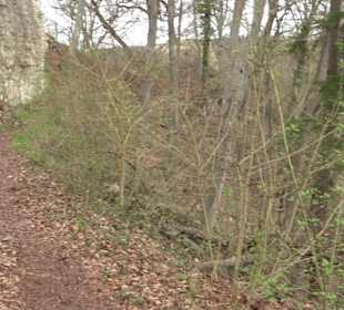 Wanderung rund um das Rusenschloss Gerhausen