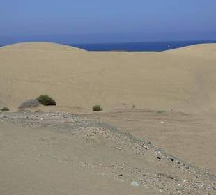 Dünenlandschaft