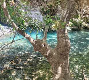 Kourtaliotiko Schlucht