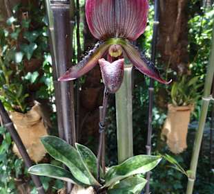 Botanischer Garten