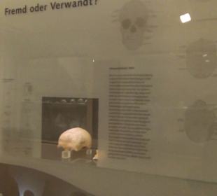 Archäologisches Landesmuseum