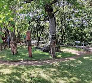 Ausflug zum National Park Los Tres Ojos mit Andy