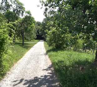 Früchtetrauf - Wurmlinger Kapellenwegle