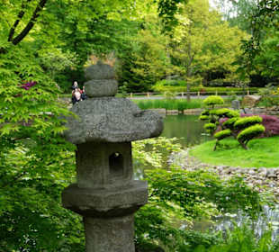 Und verschiedene Grüntöne