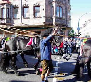Mahrsbräu Bamberg gez.v.4 Pferden