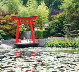 Schloßpark Kasteeltuinen Arcen