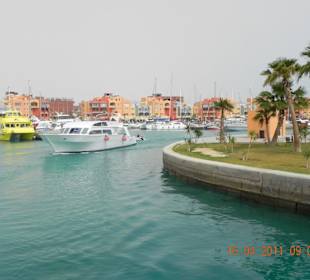 Marine in Hurghada. 