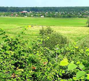 InselTours Usedom