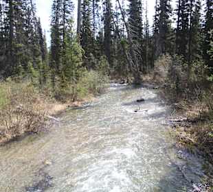 ....das ist der Auslass des Sees