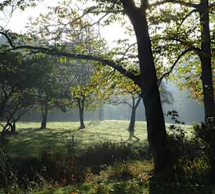 Herbstspaziergang durch den Schlosspark Lütetsburg