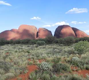 Kata Tjuta (Olgas)