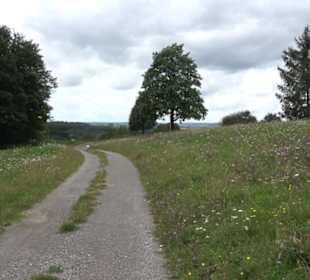 Themenweg Kaiserweg Zimmern