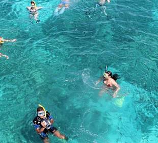 Schwimmen mit Delfinen in Hurghada am Roten Meer