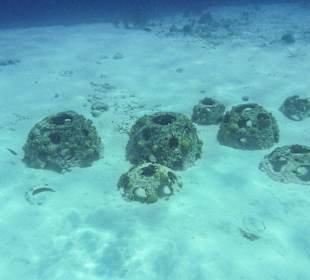 3-Strände-Tour: Reefballs / Porto Marie