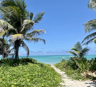 Sian Kaan / Punta Allen