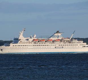 Delphin läuft Kiel an