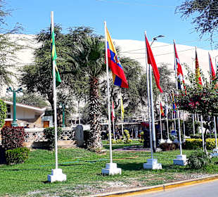 Oase Huacachina