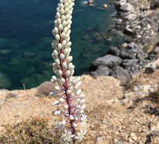Wandern Riverwalk Plakias