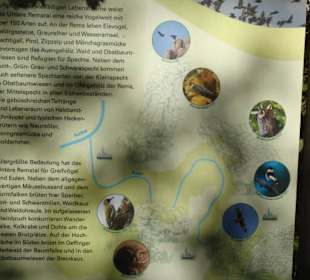 Welche Tiere leben dort