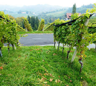 Südsteirische Weinstrasse