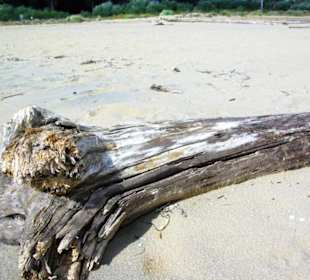 Ende September 2010 Inspirationen