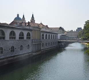 Stare miasto Ljubljana