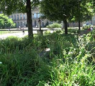 Statuen am Schlossplatz