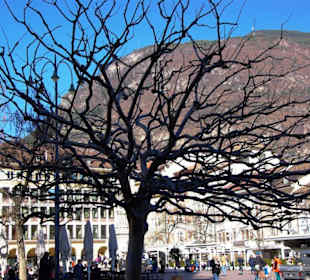 Bozen im Bild Eindrücke-Impressionen