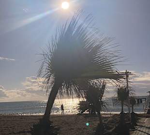 Bestes Wetter im Dezember