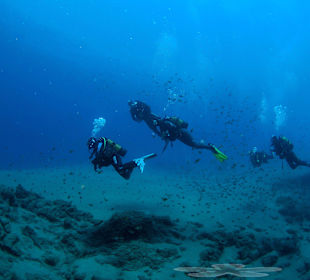 Tauchen mit Bahianus Lanzarote