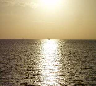 Ausblick: Wunderschön!