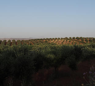 Wandern Georgioupolis