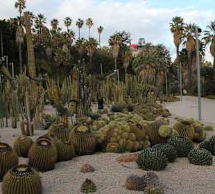 Jardins de Costa i Llobera