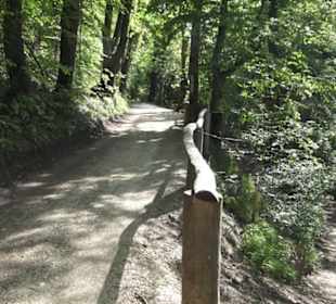 Burgruine Hohenstaufen