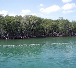 Unterwegs mit dem Glasboot