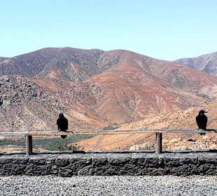 Inselrundfahrt Tagestour